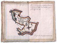 Vigna del signor Antonio Procaccini