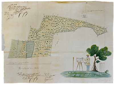 "Mappa di un territorio in tenimento di Mola" - Archivio di Stato di Bari. Sezione di Trani - Tribunale civile di Terra di Bari - 29.06.1836