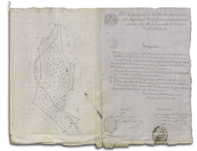 Pianta topografica del fondo che si reclama dagli eredi del fu don Francesco Giacomo Aprile, e che attualmente si possiede dal Comune di Mottola - Archivio di Stato di Lecce - Tribunale civile di Terra d'Otranto